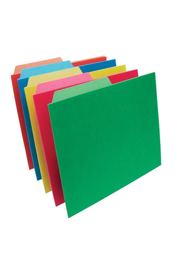 Folder Tamaño Carta Colores Surtidos con 100 piezas